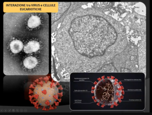 screenshot microscopia 5